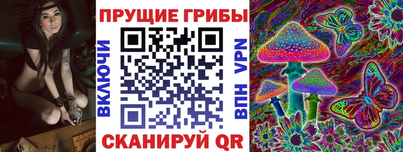 Галлюциногенные грибы Psilocybine cubensis  Строитель 
